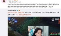 佩鑫直播爆料事件视频,揭秘背后真相与争议